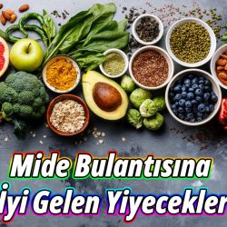 Mide Bulantısına İyi Gelen Yiyecekler