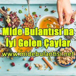 Mide Bulantısına İyi Gelen Çaylar